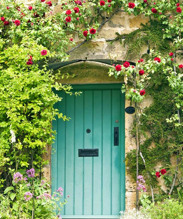 Grüne Tür in einer Mauer mit Rosen oder Lilien, dargestellt auf der Webseite des Übersetzungsbüros Sarah Jerg Translations.